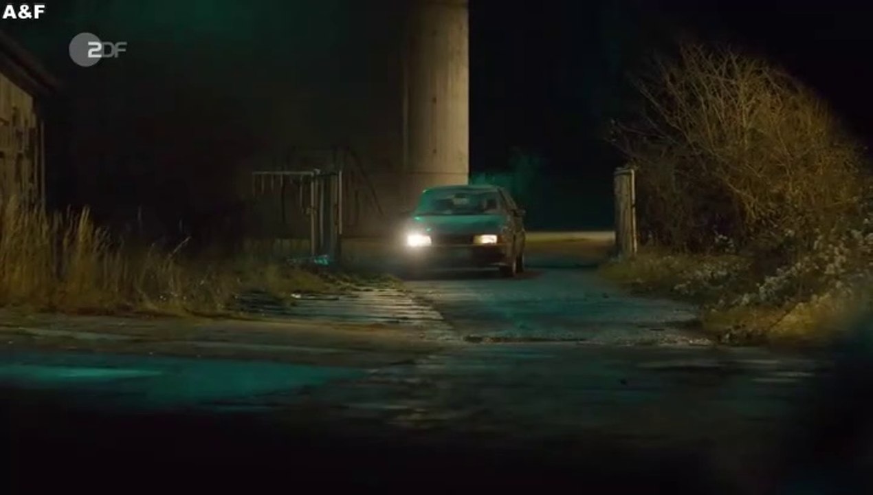 Stralsund -19- Wilde Hunde