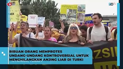 Ribuan Orang Protes Undang - Undang Kontroversial Untuk Menghilangkan Anjing Liar di Turki