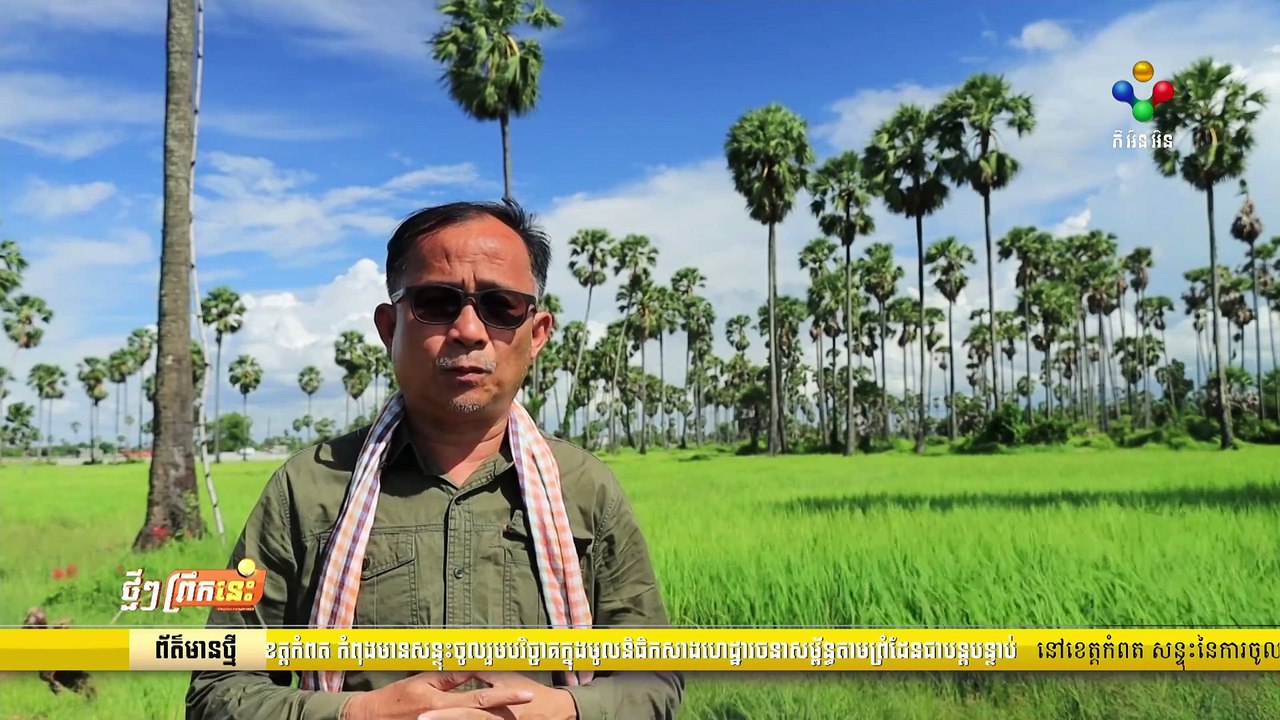 [03-09-24] ក្រសួងកសិកម្ម៖ ការប្រើប្រាស់ពូជសុទ្ធ ស្រូវផ្ការំដួល និងសែនក្រអូប ដែលមានតម្រូវការទីផ្សារខ្ពស់ និងតម្លៃសមរម្យ