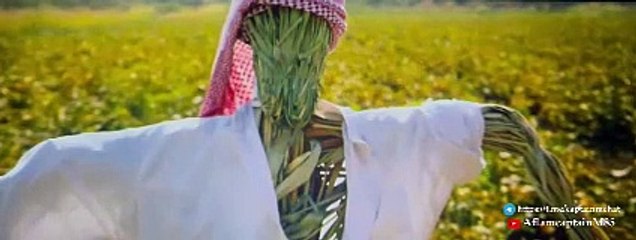 فيلم اخفاء صدام حسين 2024