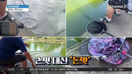 도박판 뺨치는 낚시터…‘딱지 낚시’ 기승