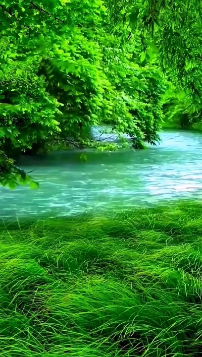 Nature lovers
