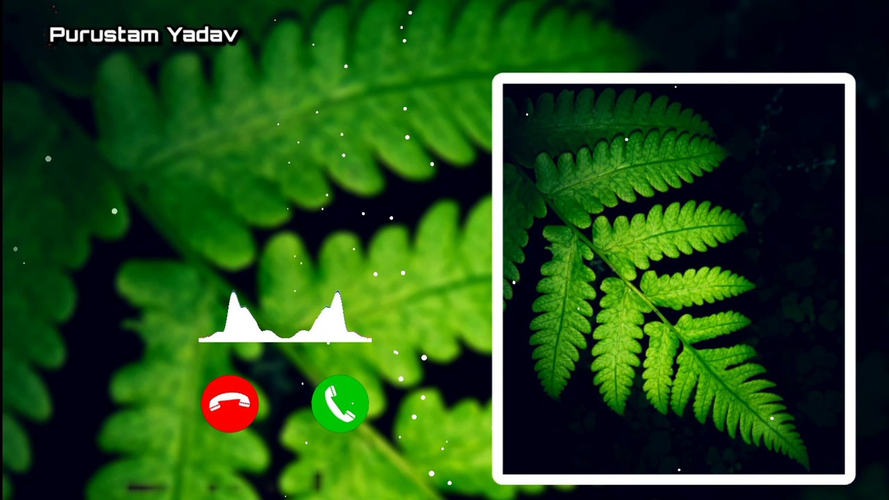 New ringtone, hindi ringtone 2024, latest ringtone 2024,Ringtones for mobile mp3, ringtone download