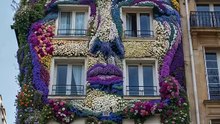 Spring Faces 