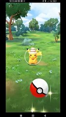Pokémon GO-Cake Hat Pikachu