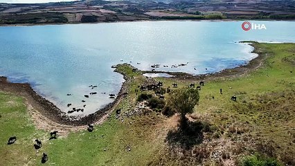 Bu görüntüler Afrika'dan değil İstanbul'dan