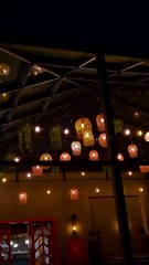 alone night with tea