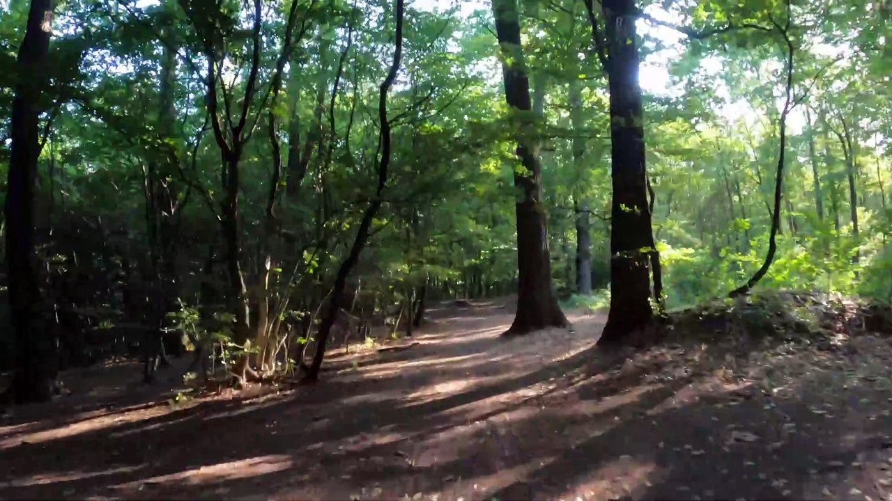 Radfahrt zur Kreuzeichenwiese im Wienerwald