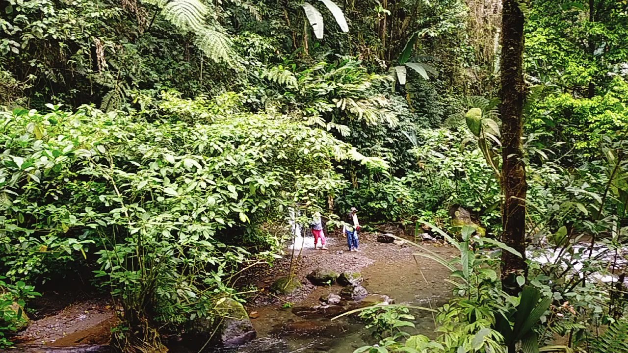 PICNIC WITH A VIEW OF THE WATERFALL