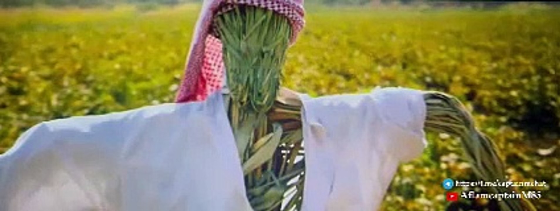 فيلم اخفاء صدام حسين 2024