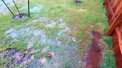 How I Built a French Drain to Improve Drainage on Clay Soil