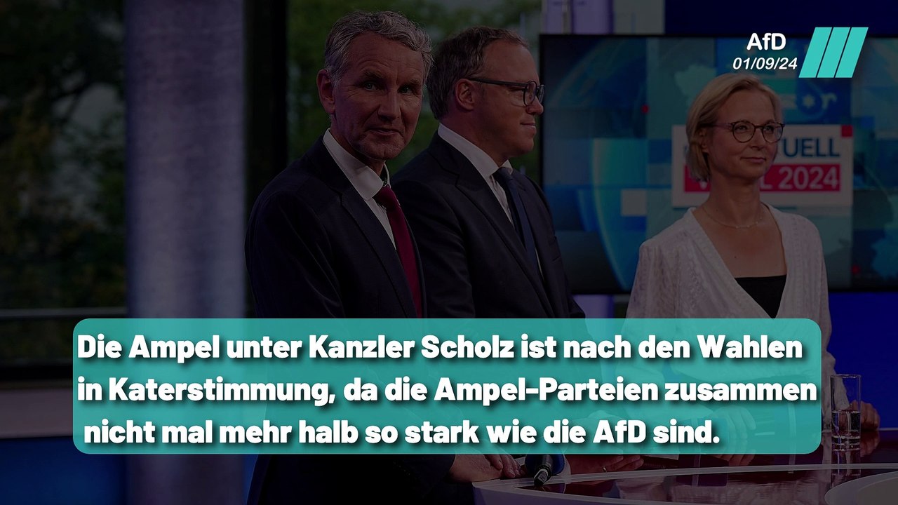 Hat die Ampel ihre Legitimation verloren ?