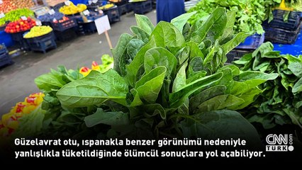 3 Eylül 2024 günün öne çıkan sağlık haberleri...