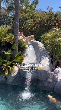 In Maui's Defence The Roles Are Reversed Now He Is The King Of The Water Slidde Follow For More Videos Have Trending Moments ....!!