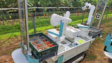 This robot could be solution for Brit farmers hit by Brexit fruit picker shortage
