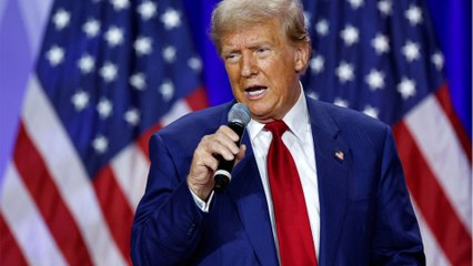 Kamala Harris von Donald Trump der Lüge bezichtigt: "Sie hat dort nie gearbeitet"