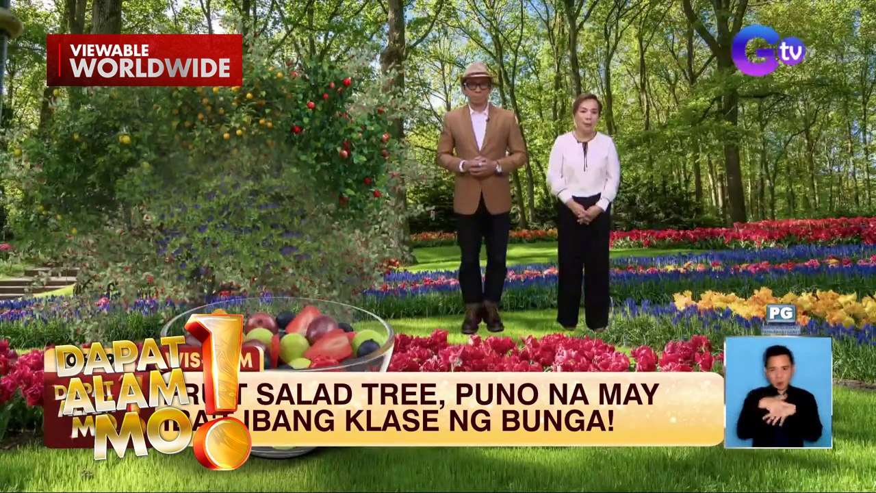 Isang uri ng puno, may iba’t ibang klase ng bunga?! | Dapat Alam Mo!