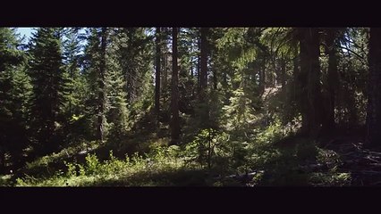 VER PESADILLAS SIN FIN  PELICULA COMPLETA ACCIÓN EN ESPANOL