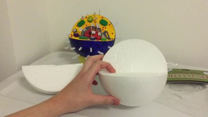 HACKS FOR CARVING A CELL MODEL -Step 1 : Carving the 3D Cell Model Ball