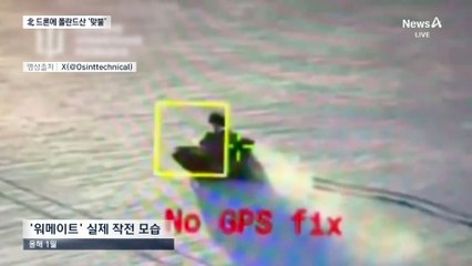 폴란드산 자폭드론 도입 추진 🚁 북한에 맞서 군사력 강화