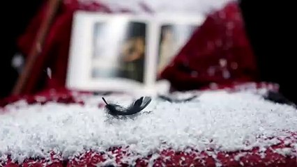 Aberystwyth writer Lucy Gough releases trailer for new play, 'A Wild Tenant'