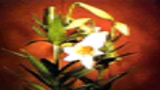 WWF Stone Cold vs Val Venis SmackDown 21 October 1999 | WWF No Mercy N64