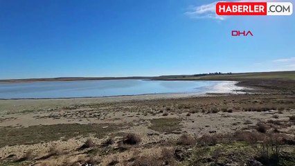 Türkiye'nin 'flamingo cenneti' kurudu