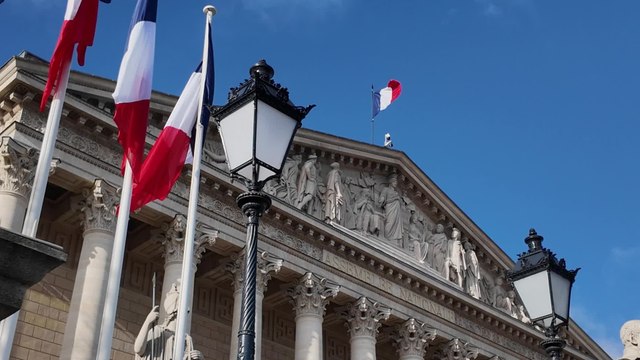 Quel est le rôle du Conseil économique, social et environnemental (Cese) ?