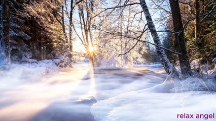 Forest morning  Peaceful Relaxing Music - Nature