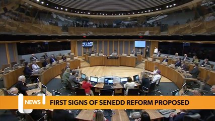 First signs of Senedd reform with new constituency proposals