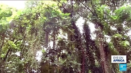 City growth threatening Ivory Coast's vital wetlands