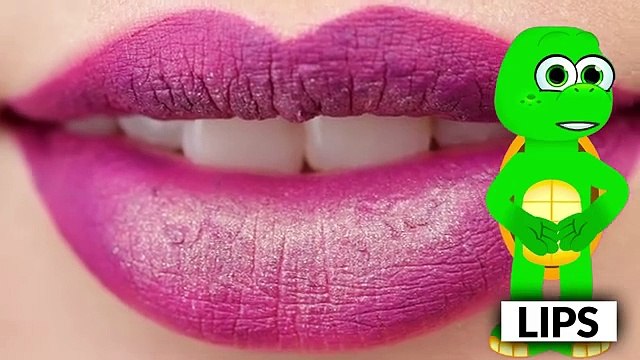 Body Parts & Action Verbs Learn Days of the Week! | Fun Kids Learning Song |#kids cartoons#learning