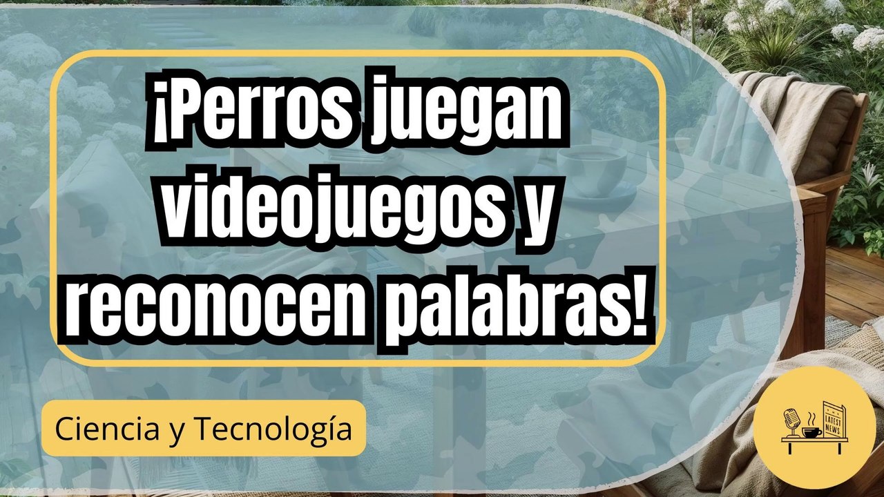 Los perros pueden jugar videojuegos y reconocer nombres de objetos, según un nuevo estudio