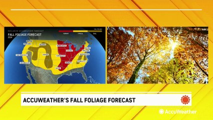 Here's who could see the most vibrant fall foliage this year