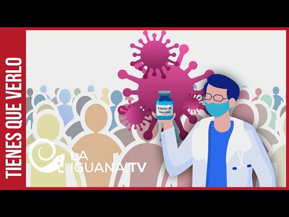 Así se van a atacar los posibles brotes de COVID-19 en planteles de educación