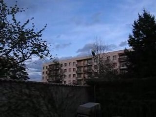 Flip dans le jardin T-Rex 450