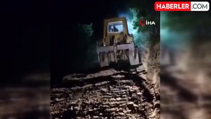 Bitlis'te çıkan orman yangınları kontrol altına alındı