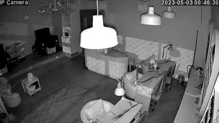 Bologna, il video del negozio di via Saffi travolto un anno fa dall'esondazione del Ravone