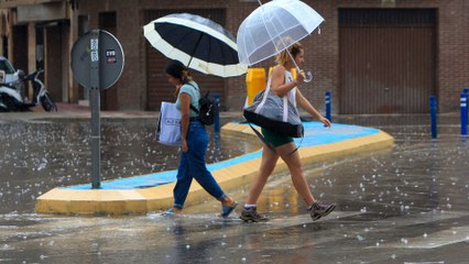 Roberto Brasero avisa la llegada del "primer bicho" al mediterráneo y horas después se lía