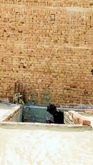 ssstik.io_1706863903969