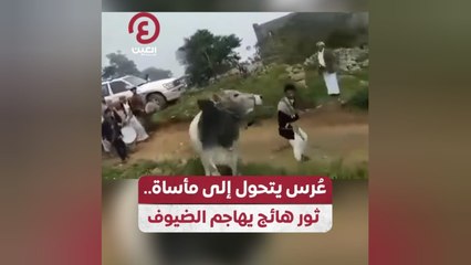 عُرس يتحول إلى مأساة.. ثور هائج يهاجم الضيوف