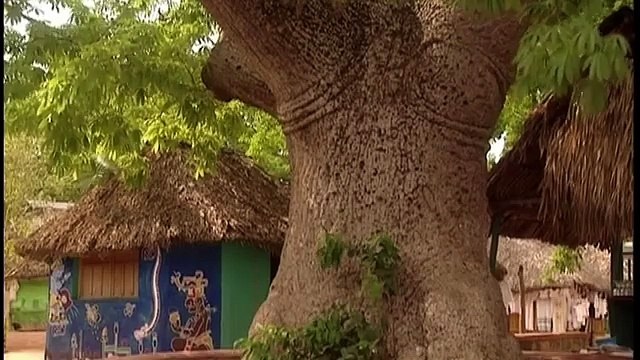 Mexique _ Les Empires Oubliés - Olmèques - Mayas - Aztèques - Documentaire - AMP