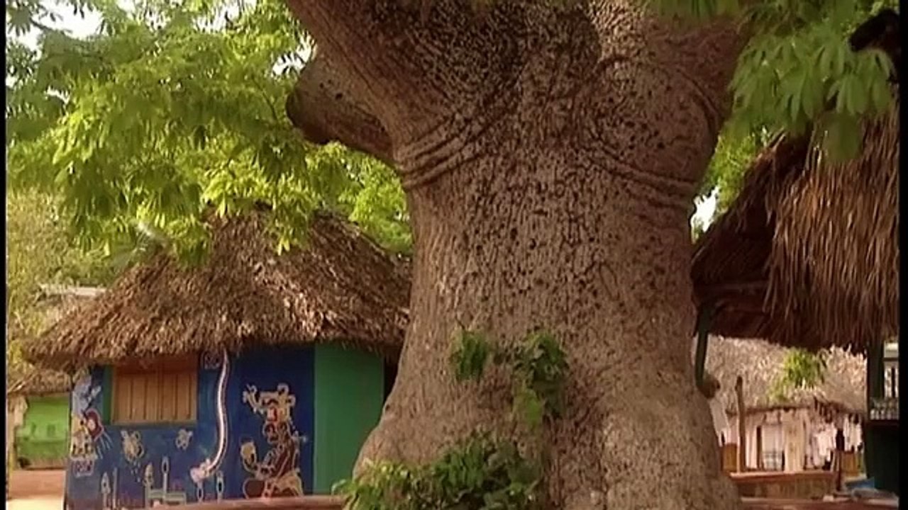 Mexique _ Les Empires Oubliés - Olmèques - Mayas - Aztèques - Documentaire - AMP