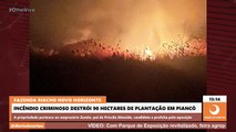 Incêndio destrói 90 hectares de vegetação em fazenda do pai de candidata à prefeita de Piancótação em Piancó