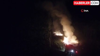Sakarya'da kavaklık alanda korkutan yangın