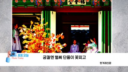 [포토오늘] 궁궐엔 벌써 단풍이 꽃피고 / YTN