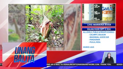 Pagguho ng lupa, namerwisyo sa ilang kalsada; ilang puno, natumba | Unang Balita