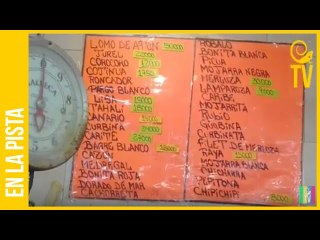 Así están los precios de la pechuga, lomito, molida, chuleta y pescado fresco en Cúa