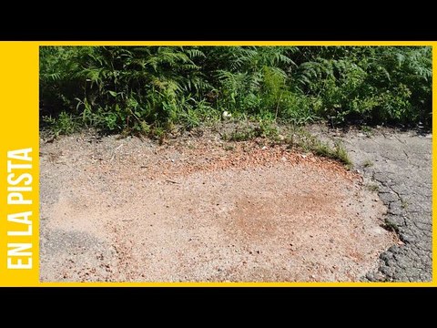 Carretera del Jarillo: Huecos, robos y falta de transporte público