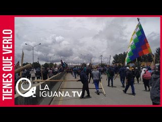 “No está solo carajo”: Confederación de médicos de Bolivia sale a las calles en defensa de Evo